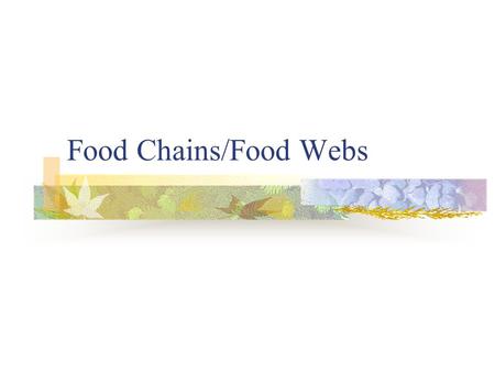 Food Chains/Food Webs. How Organisms Interact Autotrophs – Organisms that use energy from the sun or energy stored in chemical compounds. These types.
