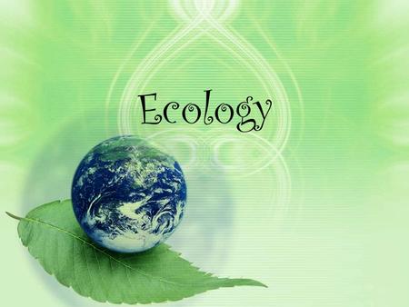 Ecology. What is ecology? The study of interactions between organisms and their environment Remember: Cell  Tissue  Organ  Organ System  Organism.