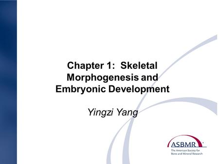 Chapter 1: Skeletal Morphogenesis and Embryonic Development Yingzi Yang.