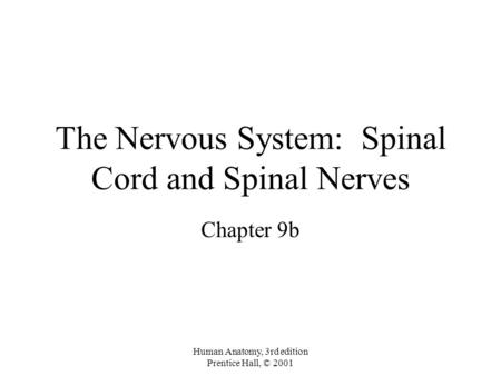 Human Anatomy, 3rd edition Prentice Hall, © 2001 The Nervous System: Spinal Cord and Spinal Nerves Chapter 9b.