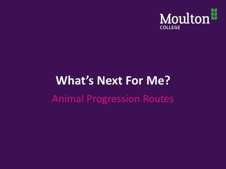 What’s Next For Me? Animal Progression Routes. Aims and Objectives: Aim: To identify the range of options available following this course, as well as.