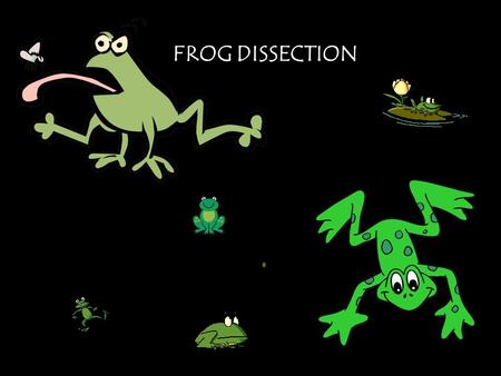 FROG DISSECTION.