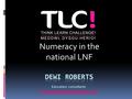 Numeracy in the national LNF Education consultants www.thinklearnchallenge.com.