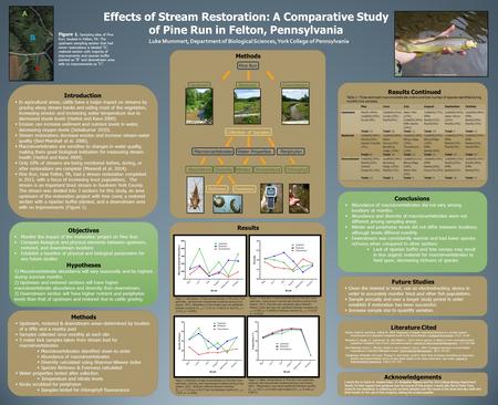 Effects of Stream Restoration: A Comparative Study of Pine Run in Felton, Pennsylvania Luke Mummert, Department of Biological Sciences, York College of.