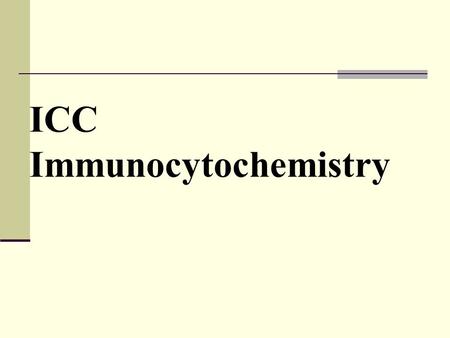 ICC Immunocytochemistry