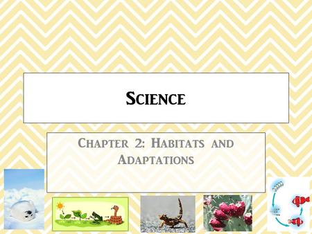 Science Chapter 2: Habitats and Adaptations. 2-1 Life in the Desert Essential Question: How do adaptations help living things survive in different habitats?