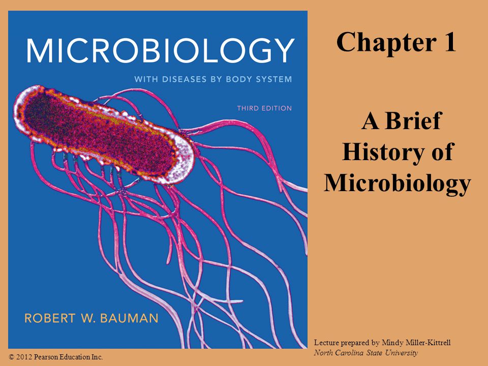 A Brief History of Microbiology - ppt video online download