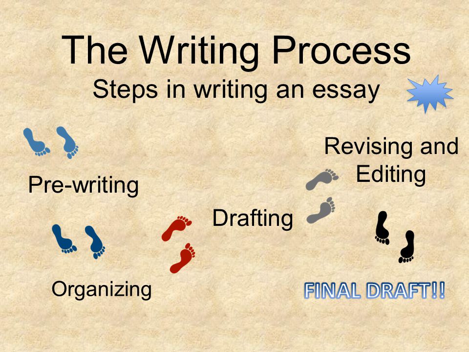 what are the steps to writing an essay