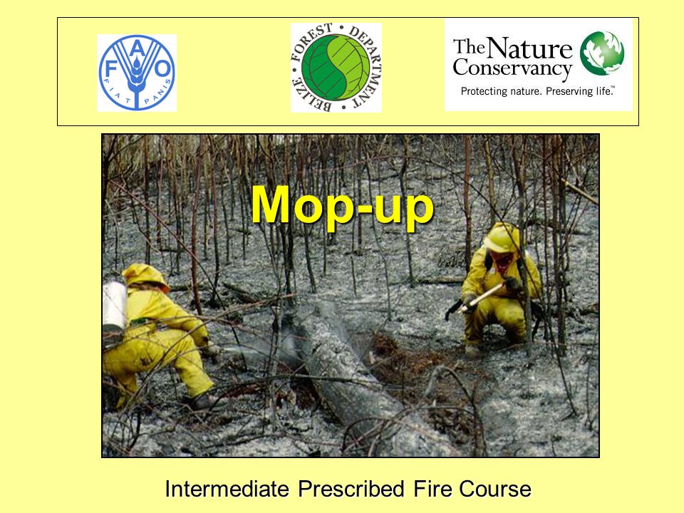 Intermediate Prescribed Fire Course Mop-up. Objetives Define mop-up as part  of the prescribed burn process. Identify the two principal approaches to mop -up. - ppt download