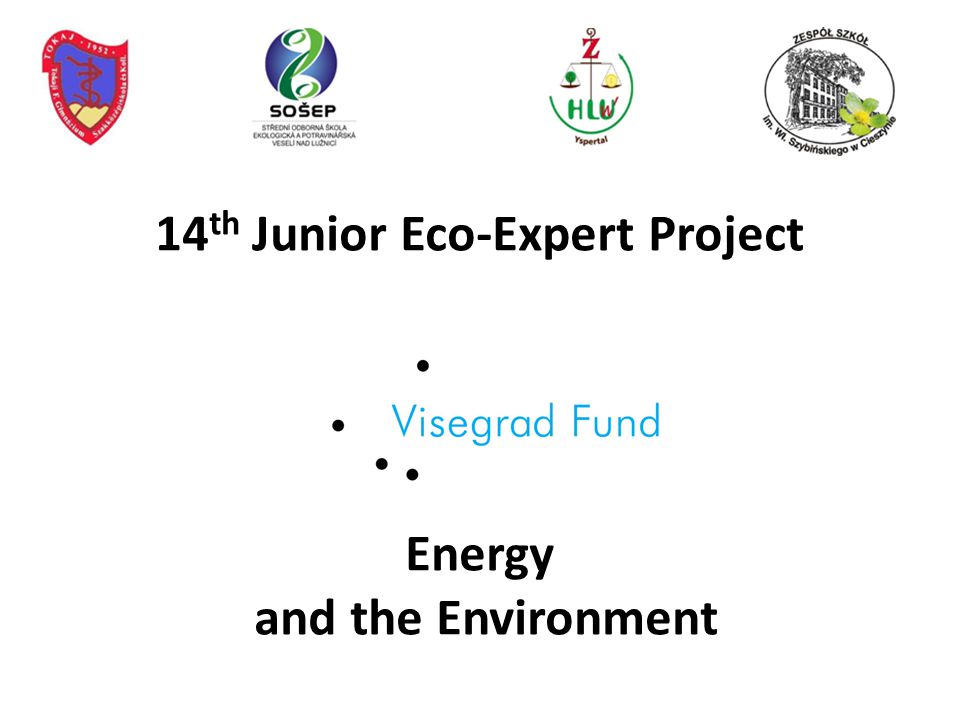 14 th Junior Eco-Expert Project Energy and the Environment. - ppt download