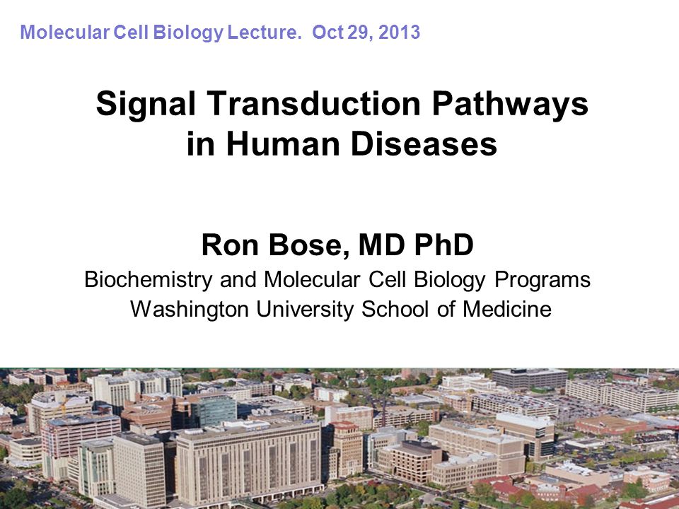 Signal Transduction Pathways in Human Diseases Ron Bose, MD PhD  Biochemistry and Molecular Cell Biology Programs Washington University  School of Medicine. - ppt download