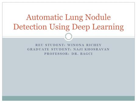 Automatic Lung Nodule Detection Using Deep Learning
