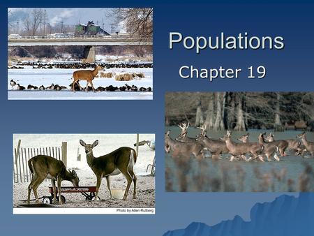 Populations Chapter 19. Understanding Populations Section 19.1.