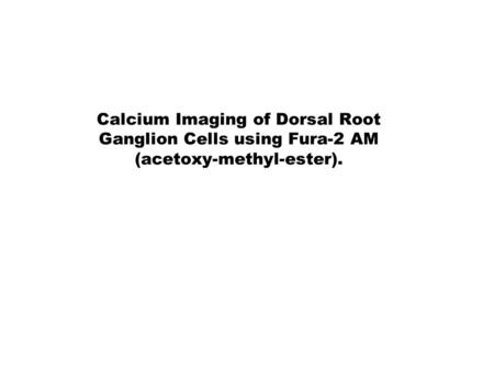What is Dorsal Root Ganglion (DRG)?