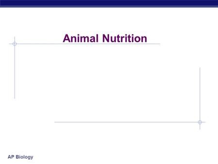 AP Biology Animal Nutrition AP Biology What do animals need to live? O2O2 food ATP  Animals make energy using:  food  oxygen  Animals build bodies.