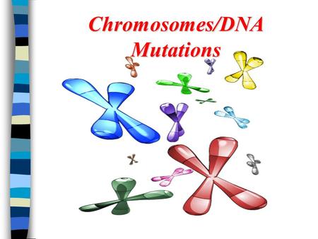 Chromosomes/DNA Mutations. Chromosome Mutation Mutations are permanent gene or chromosome changes that will be passed on to offspring if they occur in.