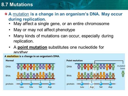 8.7 Mutations A mutation is a change in an organism’s DNA. May occur during replication. May affect a single gene, or an entire chromosome May or may not.