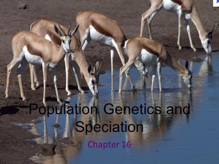 Population Genetics and Speciation Chapter 16. Evolution O. Understand the mechanisms that can cause change in the genetics of a population. J. Explain.