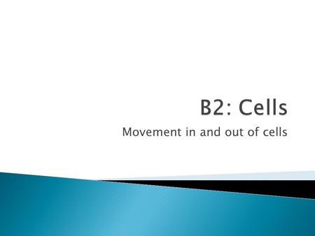Movement in and out of cells. You need to learn this definition:  Diffusion is the net movement of molecules from a region of their higher concentration.