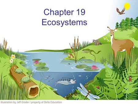 Chapter 19 Ecosystems How Ecosystems Change Ecological succession that begins in a place that does not have soil is called primary succession. The first.