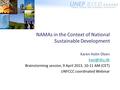NAMAs in the Context of National Sustainable Development Karen Holm Olsen Brainstorming session, 9 April 2013, 10-11 AM (CET) UNFCCC coordinated.