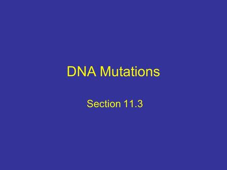 DNA Mutations Section 11.3. Review DNA controls structure and function of cells because it holds the code to build all proteins. DNA transcription translation.