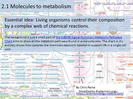 Iubmb Sigma Nicholson Metabolic Pathways Chart