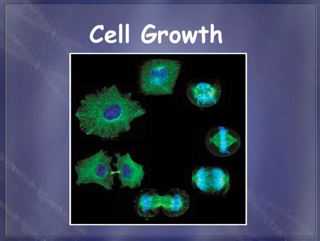 Cell Growth. Cells have distinct phases of growth, reproduction, and normal functions. Just as all species (humans) have life cycles, cells also have.