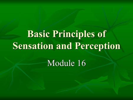 Basic Principles of Sensation and Perception