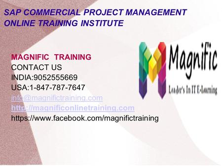 SAP COMMERCIAL PROJECT MANAGEMENT ONLINE TRAINING INSTITUTE MAGNIFIC TRAINING CONTACT US INDIA:9052555669 USA:1-847-787-7647