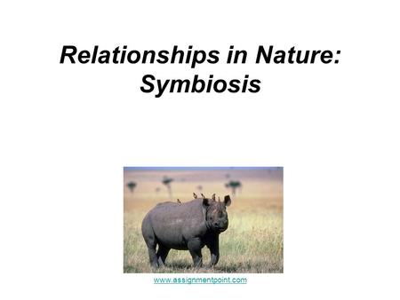 Relationships in Nature: Symbiosis www.assignmentpoint.com.