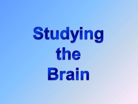 Biology and Behavior Neuroscience  Scientific study of the brain and of the links between brain activity and behavior.