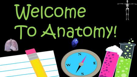 Welcome To Anatomy!. I went to Solon and had some of your teachers My  is