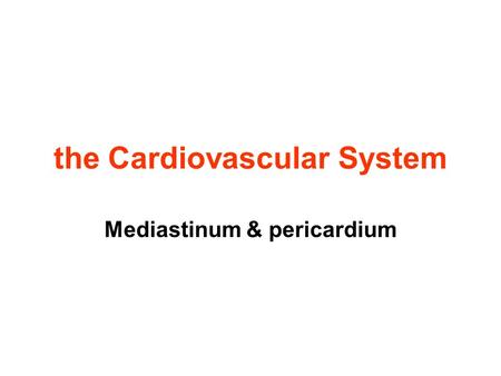 the Cardiovascular System