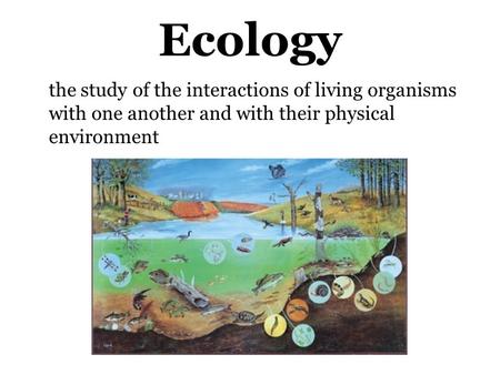 Ecology the study of the interactions of living organisms with one another and with their physical environment.