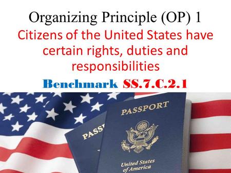 Organizing Principle (OP) 1