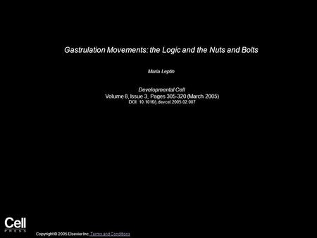 Gastrulation Movements: the Logic and the Nuts and Bolts Maria Leptin Developmental Cell Volume 8, Issue 3, Pages 305-320 (March 2005) DOI: 10.1016/j.devcel.2005.02.007.