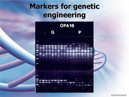 Markers for genetic engineering ALBIO9700/2006JK.
