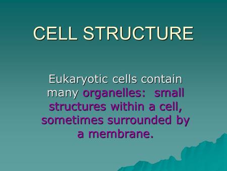 CELL STRUCTURE Eukaryotic cells contain many organelles: small structures within a cell, sometimes surrounded by a membrane.
