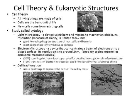 Cell Theory & Eukaryotic Structures Cell theory – All living things are made of cells – Cells are the basic unit of life – New cells come from existing.
