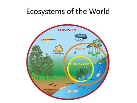 Ecosystems of the World AP Study Review. Naming Ecosystems Terrestrial Ecosystems = Biomes – Separated based upon their climate, which involves average.