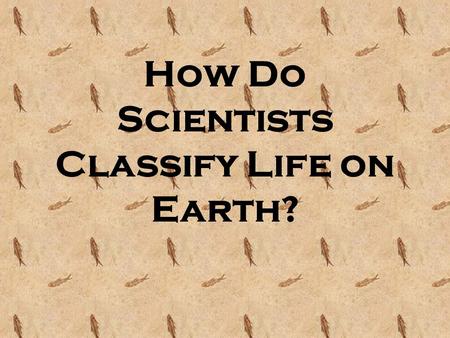 How Do Scientists Classify Life on Earth?. Life On Earth Scientists have identified approximately 2.5 million species of organisms on Earth, but estimate.