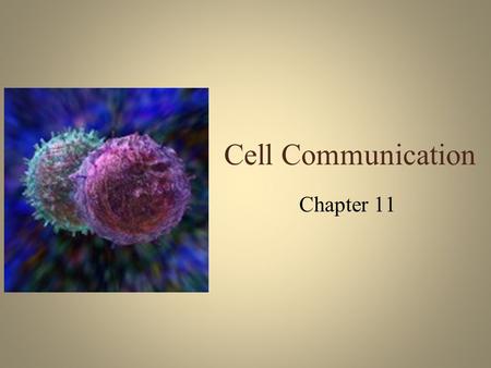 Cell Communication Chapter 11. Multicellular Organisms Behave as a community – Cells talk –Neighbors carry on private conversations –Messages are sent.