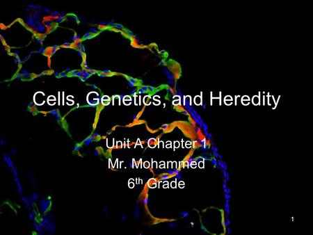 1 Cells, Genetics, and Heredity Unit A Chapter 1 Mr. Mohammed 6 th Grade.