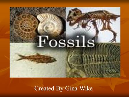 Created By Gina Wike. Fossils A fossil is evidence such as remains, imprints or traces of once living organisms preserved in rock A fossil is evidence.