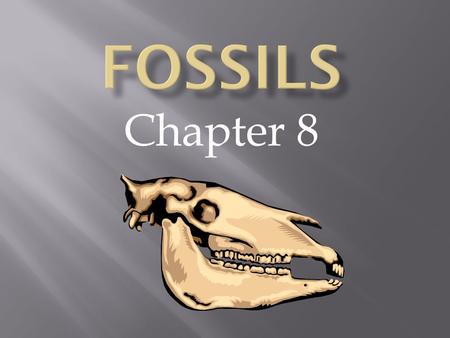 Chapter 8. Fossil - the preserved remains or traces of a living thing. Mold - the hollow space that is left. Cast - forms when dissolved minerals fill.