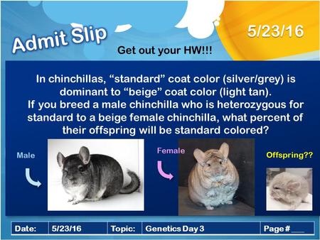 5/23/16 Date:5/23/16Topic:Genetics Day 3Page # ___ In chinchillas, “standard” coat color (silver/grey) is dominant to “beige” coat color (light tan). If.