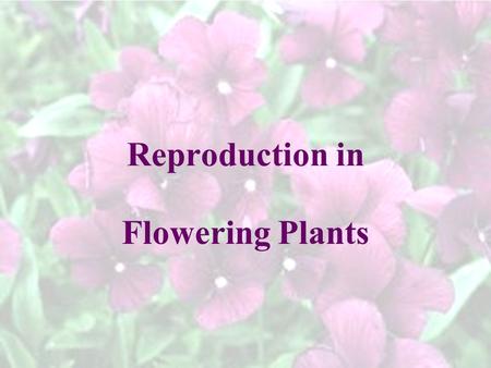 Reproduction in Flowering Plants.