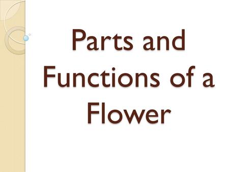 Parts and Functions of a Flower