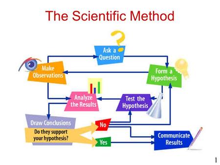 The Scientific Method 1. Observation Observing – Using your senses to study objects.